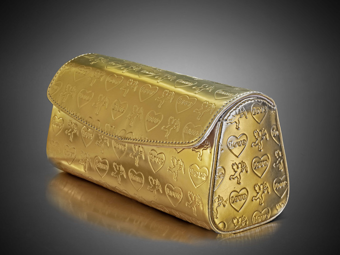 GoldenPouch carrying case